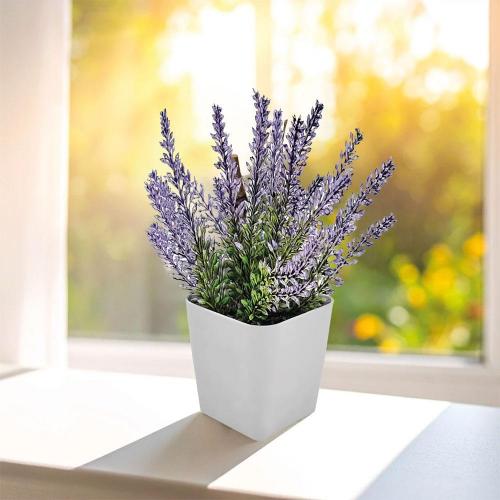 Bitki Yetiştirme Seti ( 7,5 x 6 x 8,3 cm )