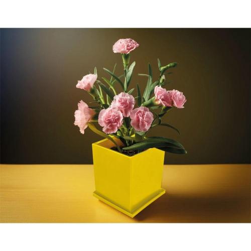 Kapaklı Bitki Dikim Seti ( 7,6 x 7,6 x 8 cm )