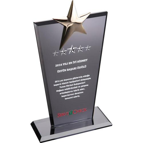 Kristal Plaket ( 12 x 21 cm )