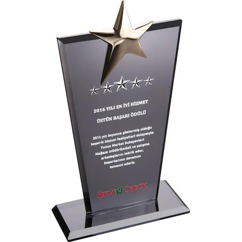 Kristal Plaket ( 12 x 21 cm )