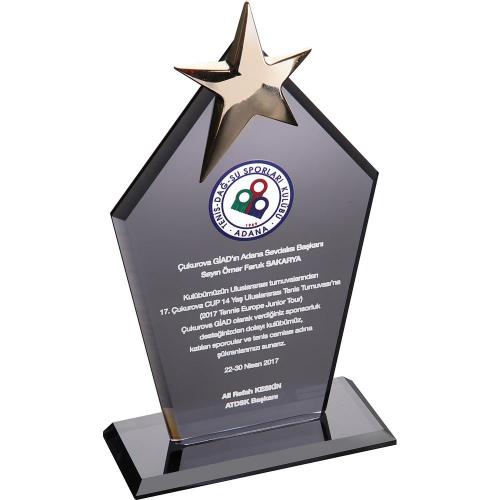 Kristal Plaket ( 12 x 21 cm )