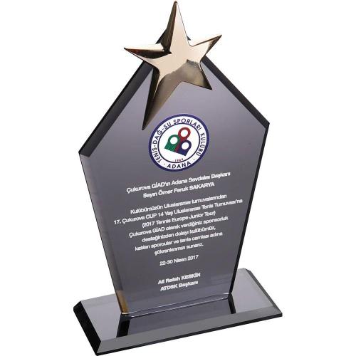 Kristal Plaket ( 12 x 21 cm )