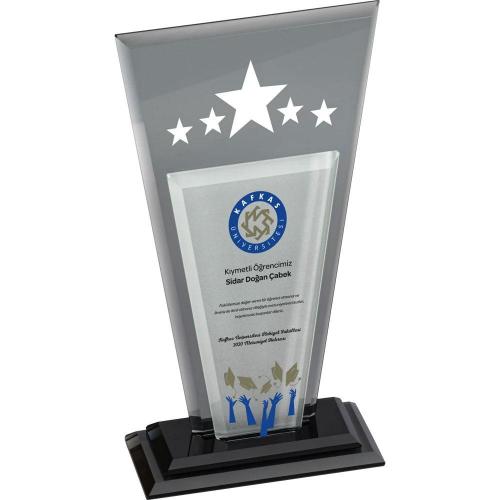 Kristal Plaket ( 13 x 25 cm )