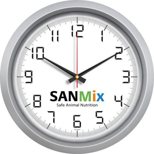 Metalize Duvar Saati ( Ø 40 cm )