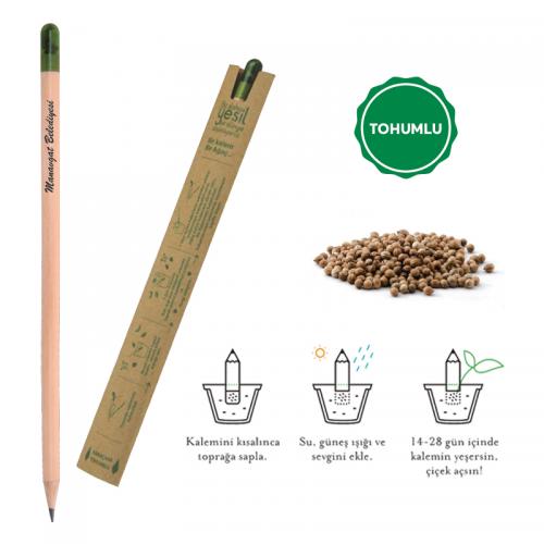 Tohumlu Naturel Kurşun Kalem